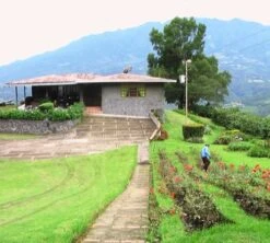 250g Café En Grain Bio La Esperanza - Cafés Lugat -Smeg Soldes Boutique cafe grains esperanza colombie 3 1