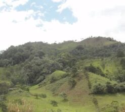 4x250g Café En Grain Bio La Esperanza - Cafés Lugat -Smeg Soldes Boutique cafe grains esperanza colombie 5