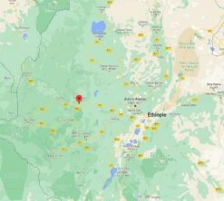 4x250g Café En Grain Bio - Ethiopie Moka Nekemte - CAFES LUGAT -Smeg Soldes Boutique cafeengraincafeslugatethiopie