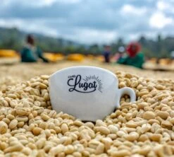 1 Kg Café En Grain Le Dark'n Sweet - Cafés Lugat -Smeg Soldes Boutique cafeengraincafeslugatmarque