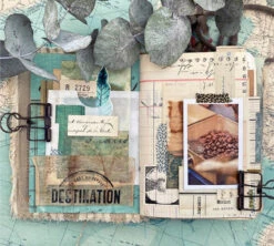 1kg Café En Grain 100% Arabica Moka Bio Ethiopie - DESTINATION -Smeg Soldes Boutique cafeengraindestinationmarque