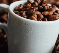 1kg Café En Grain Intermezzo - SEGAFREDO 6 1kg Café En Grain Intermezzo - SEGAFREDO -Smeg Soldes Boutique cafeengrainsegafredointermezzo1kg