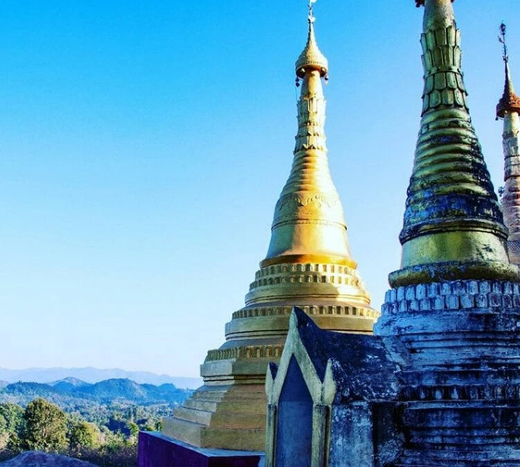 250 G Café En Grain Myanmar Ywangan Manussiha 100% Arabica - Brûlerie Du Cantin 5 250 G Café En Grain Myanmar Ywangan Manussiha 100% Arabica - Brûlerie Du Cantin – Image 3