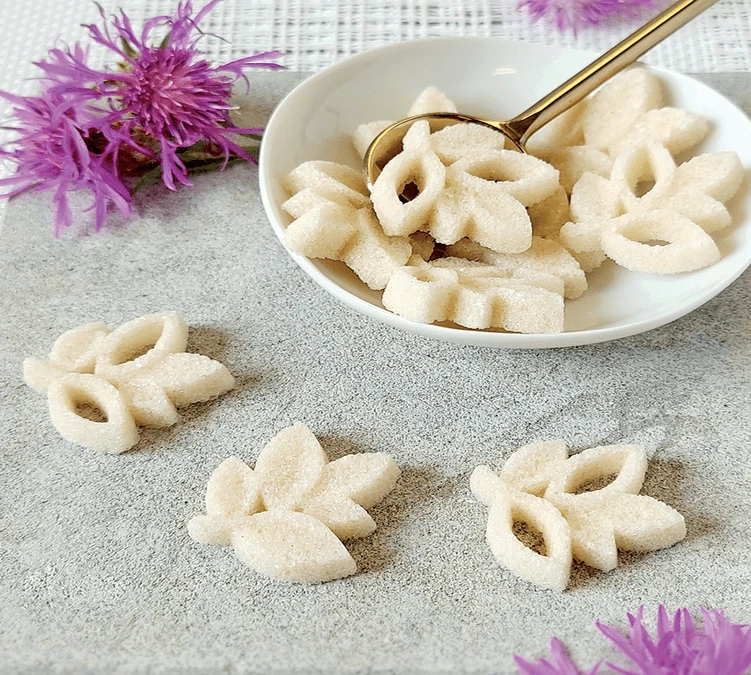 72 Sucres Moulés Bio - À L'origine - CANASUC 5 72 Sucres Moulés Bio - À L'origine - CANASUC – Image 3