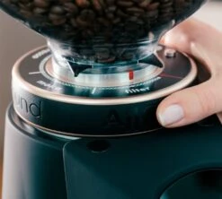 Moulin à Café Fiorenzato AllGround Noir Mat -Smeg Soldes Boutique fiorenzato allground reglages