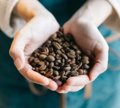 Café En Grains Brûlerie Du Cantin - Mélange Dégustation 100% Arabica - 250gr -Smeg Soldes Boutique lifestyle grain 2