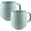 2 Mugs Terra Sauge - 33 Cl - PYLANO
