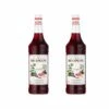 Sirop Monin - Grenadine - 2 X 1 L -Smeg Soldes Boutique sirop monin grnadine 1l