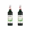Sirop Monin Menthe - Bouteille Plastique - 2 X 1L -Smeg Soldes Boutique sirop monin menthe x2 1l pet 1